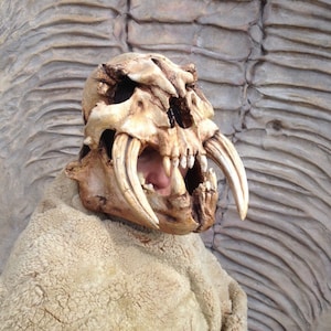 Könnte beinhalten: Eine Person trägt ein beigefarbenes, pelzähnliches Kleidungsstück mit einer großen, detaillierten, knochenfarbenen Schädelmaske mit großen Zähnen. Die Maske hat eine strukturierte Oberfläche und scheint aus einem harten Material zu sein.