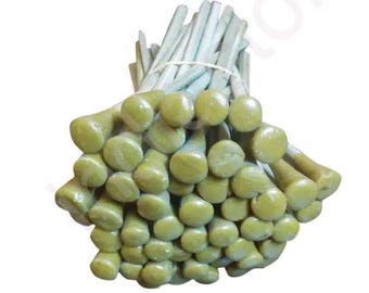 25 houten dopsticks met epoxywas voor het snijden van edelstenen