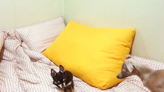 triangle back pillow