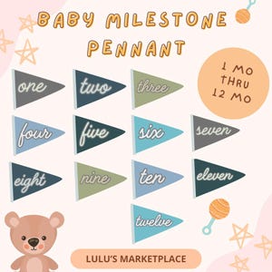 Cartes d'étapes pour bébés, marqueurs d'étapes mensuelles pour enfants et bébés, fanion personnalisé, fanions d'étapes mensuelles, jalon d'anniversaire