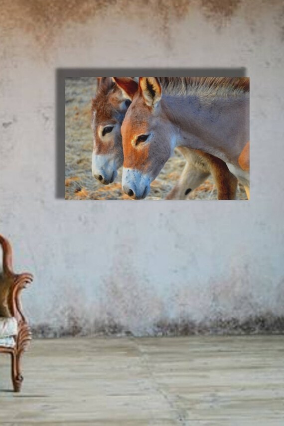 Donkeys Animal Wall Art Large Wall Art Digital Download Etsy