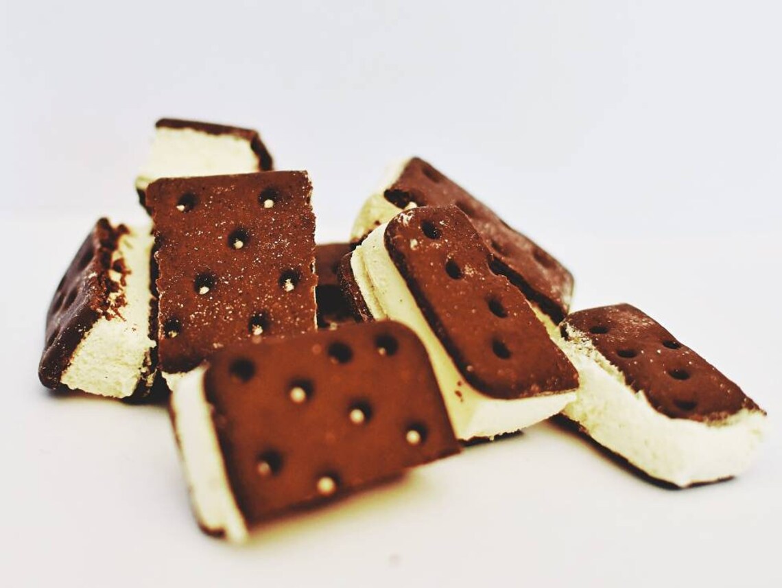 Freeze Dried Ice Cream Sandwiches Etsy