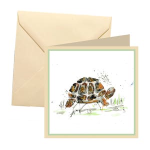 Carte de voeux tortue, carte vierge, carte de voeux, carte d'anniversaire, carte de correspondance, carte de remerciement, carte de remerciement tortue, carte tortue