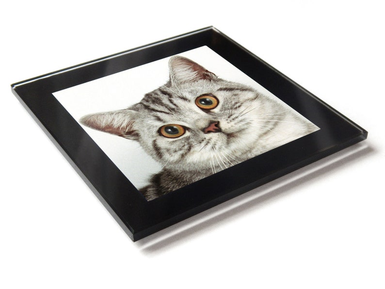 British Short Hair Silver Tabby Cat Kitten Premium Glass Table Coaster With Gift Box