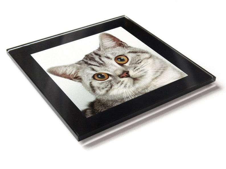 British Short Hair Silver Tabby Cat Kitten Premium Glass Etsy