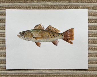 Watercolor Speckled Trout