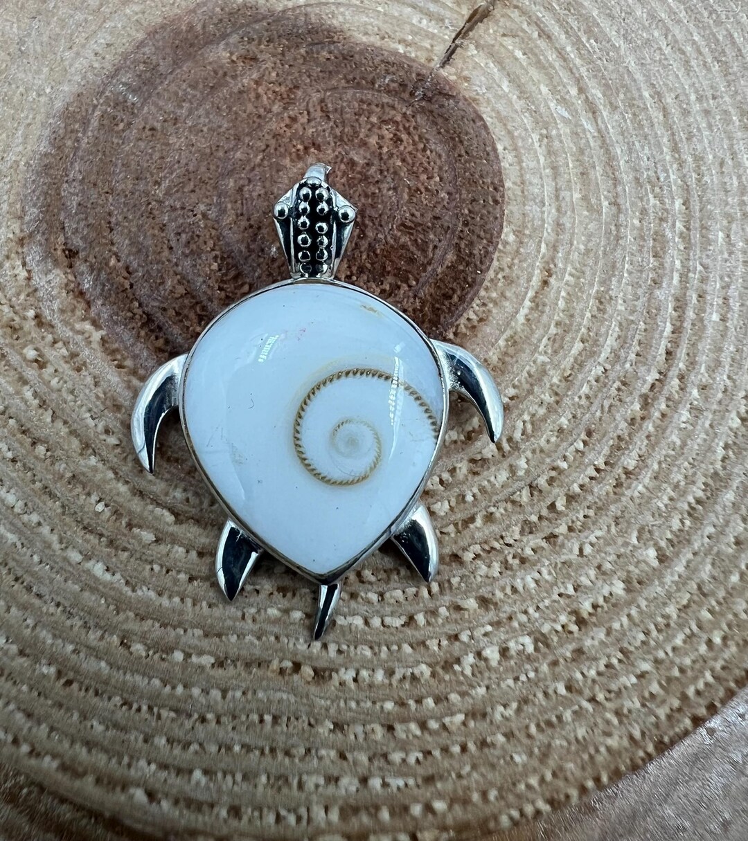 Shiv Turtle Sea Turtle Pendant Sterling Silver 925 & White Shiva Eye Spiral Shell ...