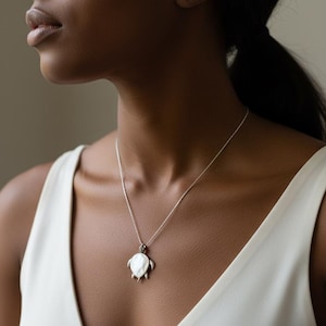 Colgante de tortuga marina en plata de ley 925 y concha de nácar