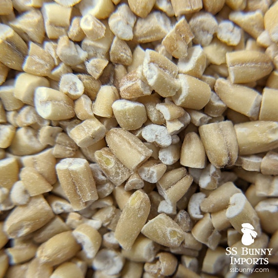 Hulled Steel Cut Oats Certified Organic Bunny Treat Horse Etsy