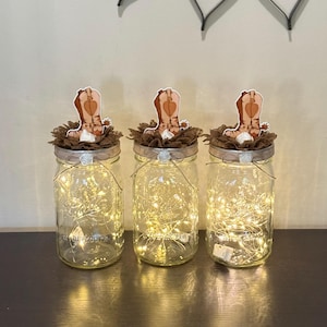Cowboy Baby Shower Centerpieces Mason Jar Baby Shower Decoration With Fairy Lights Set of 3 Cowboy Table Centerpieces
