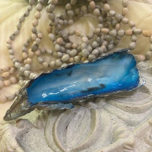 Decorative ocean shell