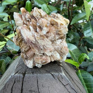 May include: A raw mineral specimen featuring a cluster of jagged, translucent white and pale pink crystalline points. The formation displays earthy, brownish-tan mineral deposits embedded within the crevices of the sharp, angular crystal structure.