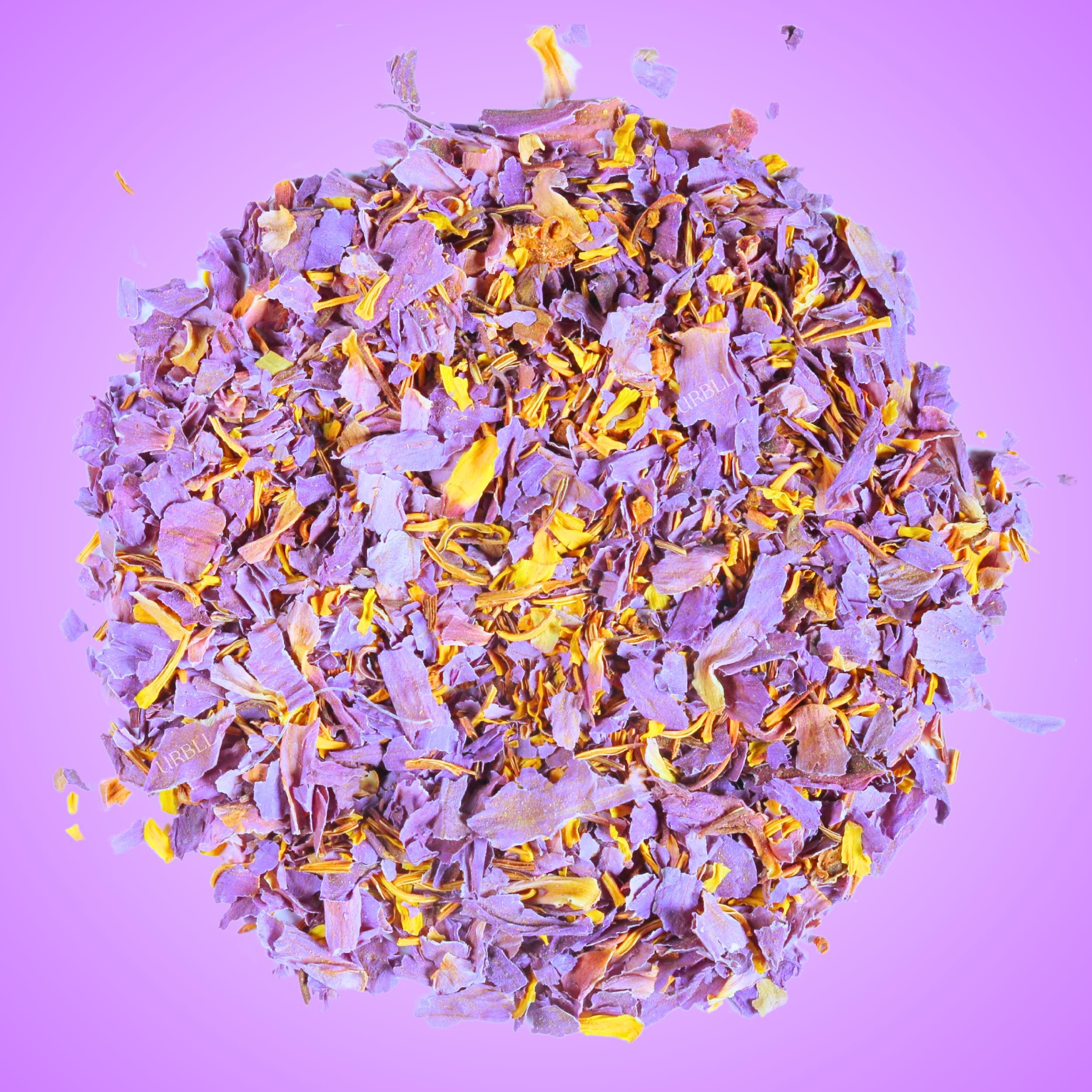 プレミアム「パープルタイ」エジプトブルーロータス • 本物のスイレン