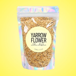 Yarrow Flower • Dried Achillea millefolium • Herbal Tea or Topical Use • No Additives • Natural Wellness Herb
