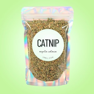 Catnip • All-Natural Herb • Nepeta cataria