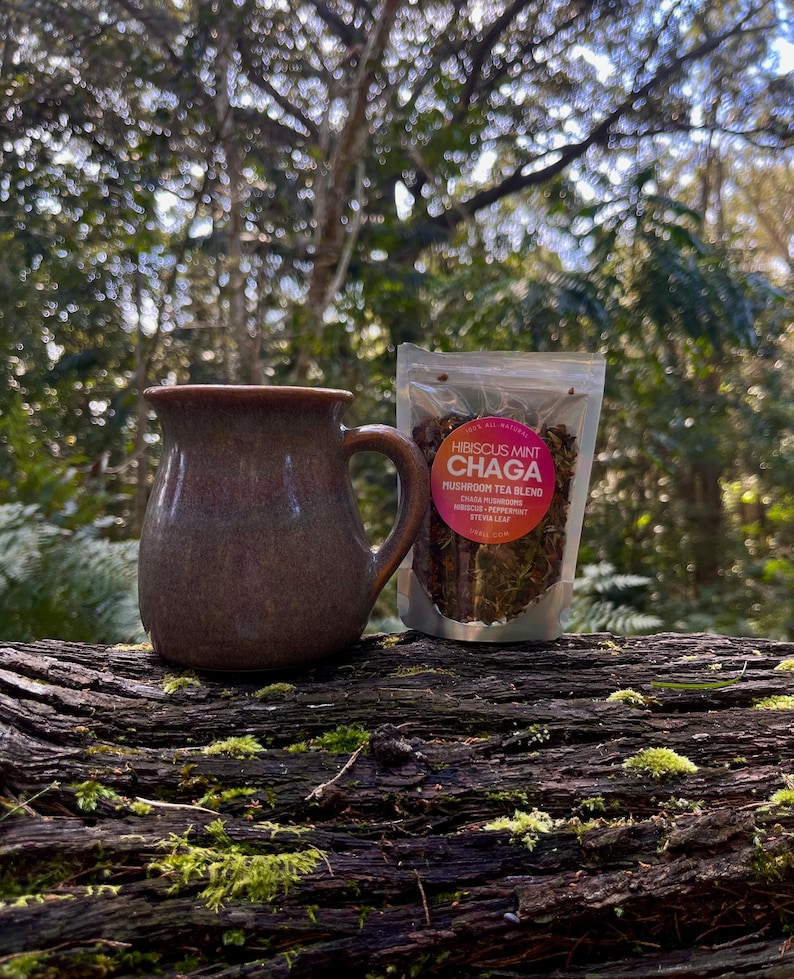 Hibiscus Mint Chaga Tea • Wildcrafted Chaga Mushroom, Hibiscus Flower ...