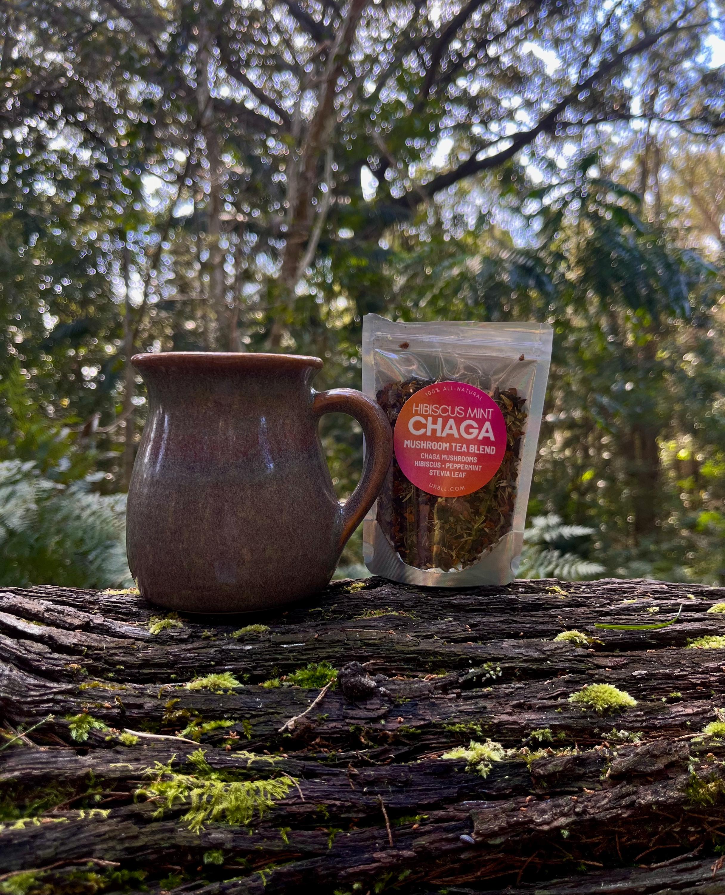 Chaga Ritual Set Chaga + Hibiscus Mint Tea • Chaga Mushroom Tea Blend • Vegan, Additive ...