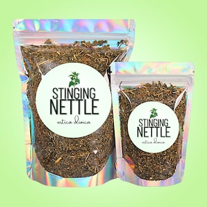 May include: Two clear, iridescent zip-lock bags filled with dried stinging nettle leaves. Each bag has a white circular label with the words "STINGING NETTLE" and "urtica dioica" in black. The background is a light green.