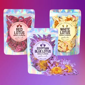 Lotusmonsternemer • Triobundel met hele bloemen • Egyptische blauwe lotus + witte lotus + rode lotus • Samplen en bewaren • Geen toevoegingen of vulstoffen