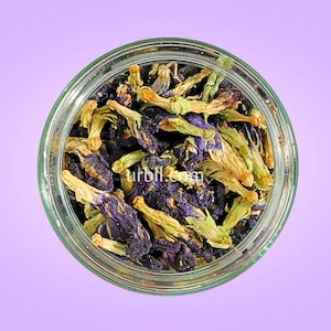 Blue Butterfly Pea Flower • Clitoria ternatea • Dried Whole Flowers & Petals • Bulk Botanical for Tea, Color-Changing Brews + Apothecary image 2