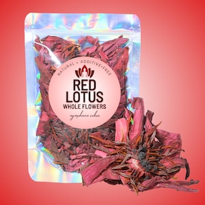 Red Lotus Whole Flower • All-Natural, Premium, Authentic Nymphaea Rubra • Zero Additives • Ceremony, Ritual, and Meditation Herb