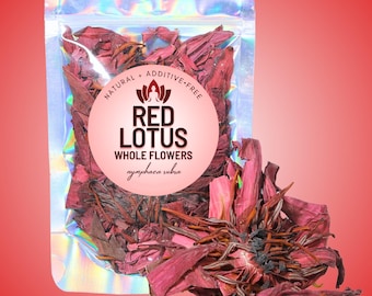 Red Lotus Whole Flower • All-Natural, Premium, Authentic Nymphaea Rubra • Zero Additives • Ceremony, Ritual, and Meditation Herb