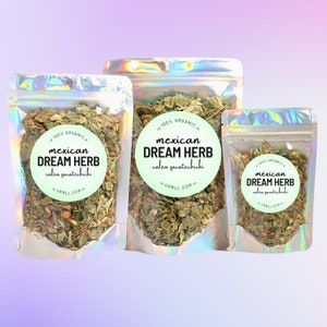 Mexican Dream Herb • Calea zacatechichi • 100% Organic • Lucid Dreaming • Dream State • Dream Tea • Astral Projection Tea