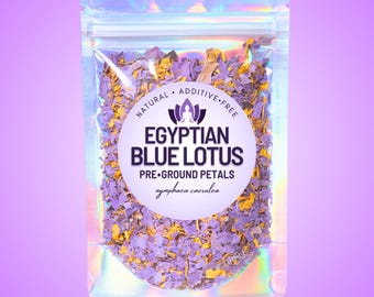 プレミアム「パープルタイ」エジプトブルーロータス • 本物のスイレン