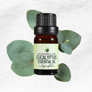 Peut inclure: Une petite bouteille en verre brun avec un bouchon noir, contenant de l'huile essentielle d'eucalyptus. L'étiquette de la bouteille indique "100% Naturel & Pur Huile Essentielle d'Eucalyptus eucalyptus globulus". La bouteille est entourée de feuilles d'eucalyptus vertes.