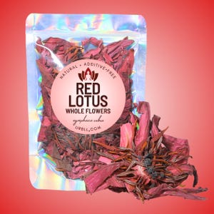 Hele rode lotusbloem • Volledig natuurlijke, premium, authentieke Nymphaea rubra • Geen toevoegingen • Ontspannende ceremonieritueel meditatiekruid