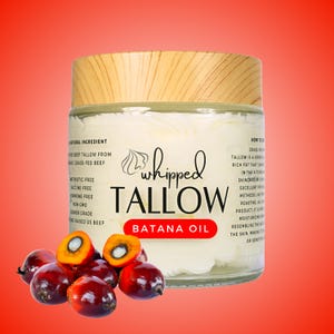 Puede incluir: Un tarro de sebo batido con tapa de madera, etiquetado como "Whipped Tallow" y "Batana Oil". El tarro está lleno de una sustancia cremosa, y varias frutas de batana rojas y naranjas están delante. El fondo es un degradado de rojo.