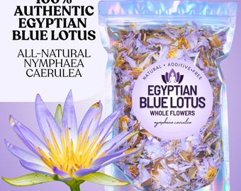 Egyptian Blue Lotus • Rare Light Petal Nymphaea Caerulea • All-Natural Dried Sacred Flower • Meditation Ritual Herb