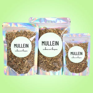 Hoja de gordolobo • Verbascum thapsus • Hierba seca de hojas sueltas • Botánico a granel cortado y tamizado para té, rituales, mezclas y uso en herboristería.