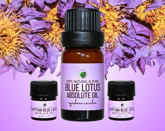 Egyptian Blue Lotus Absolute Oil • Nymphaea caerulea • Hexane-Free Pure Floral Extract • Highly Concentrated Natural Perfume • Sacred Aroma