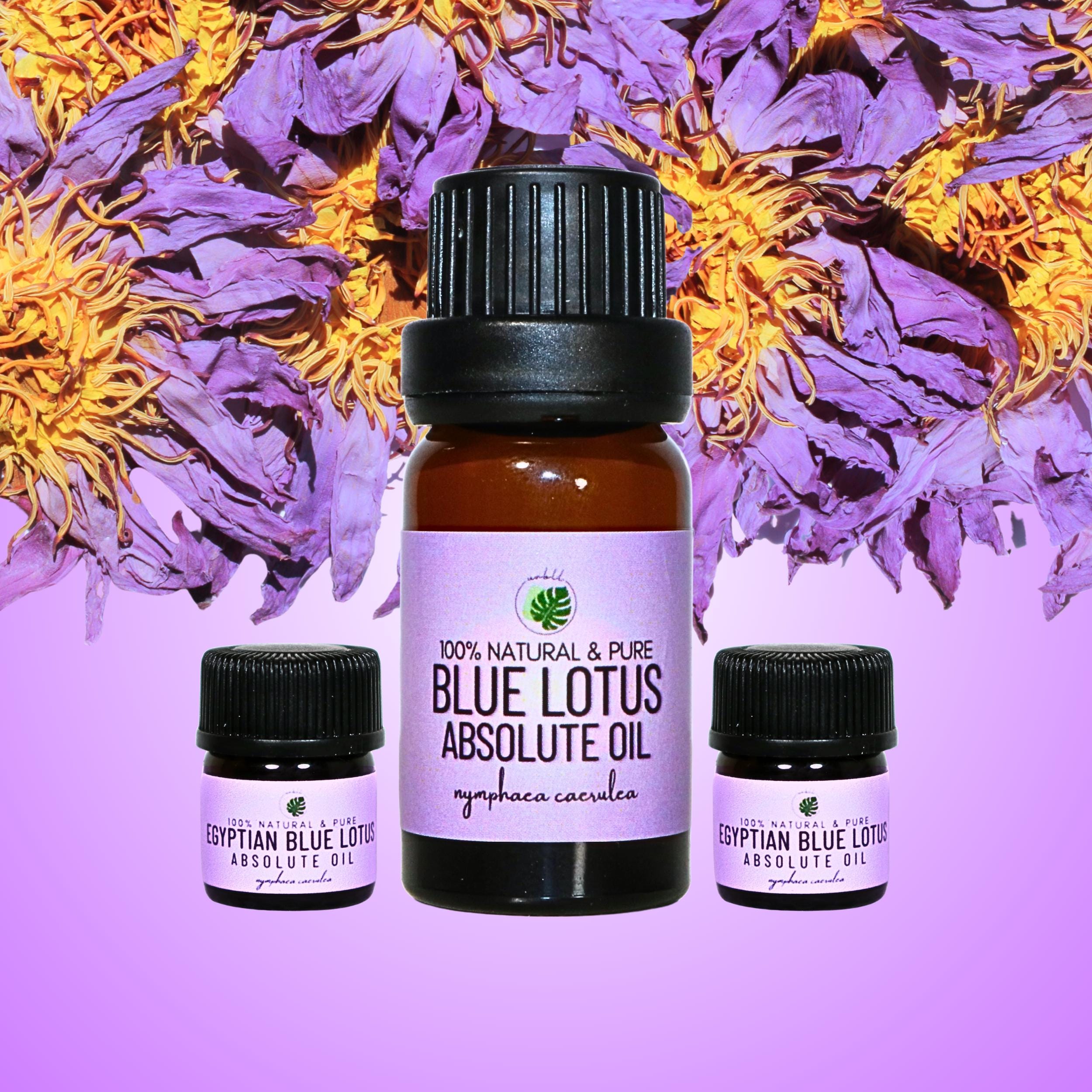 Blue Lotus Perfume - Etsy
