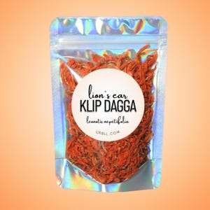 Klip Dagga &quot;Lion&#39;s Ear&quot;  Flower Petals • Leonotis nepetifolia • All-Natural • Uplifting Tea • Euphoric Tea • Relaxation Herb