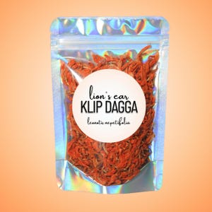 Klip Dagga ""Lion's Ohr"" Blumenblätter • Leonotis nepetifolia • Ganz-Natürlich • Erhebendes Kraut für Rituale und Zeremonien."