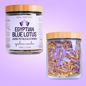 CRUSHED Egyptian Blue Lotus Loose Petals + Stamen in Jar • 100% Organic • Nymphaea caerulea • Free of Pesticides, Fertilizers & Additives