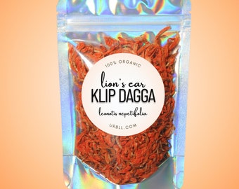 Klip Dagga "Lion's Ear" Organic Flower Petals • Leonotis nepetifolia • 100% Organic • Uplifting Tea • Euphoric Tea • Relaxation Herb