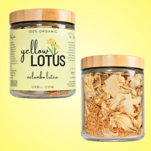 Yellow Lotus • Nelumbo lutea • 100% Organic Herbal Tea in Glass Jar
