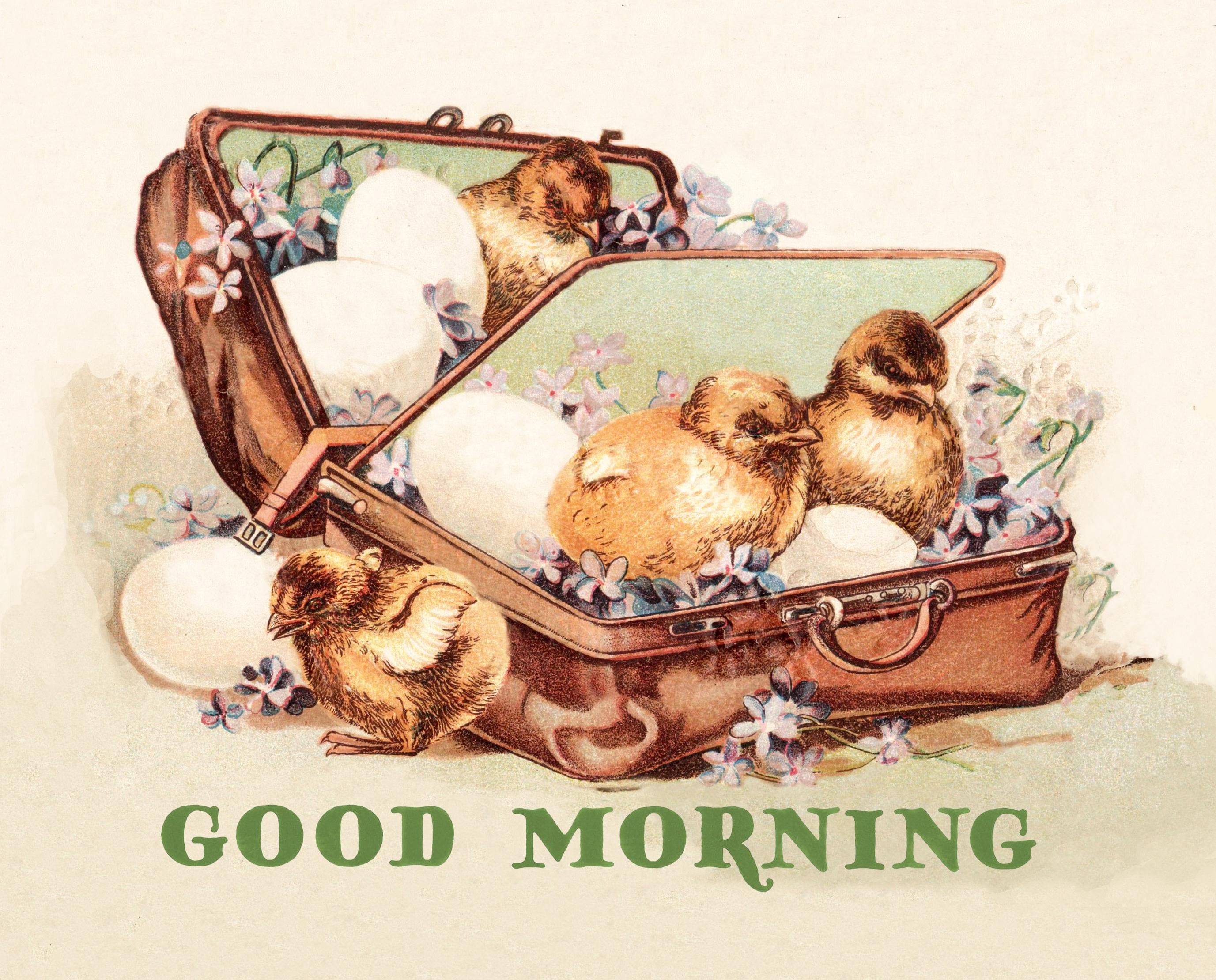 Good Morning Call - Etsy