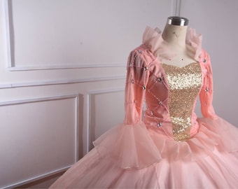 princess and the pauper dress