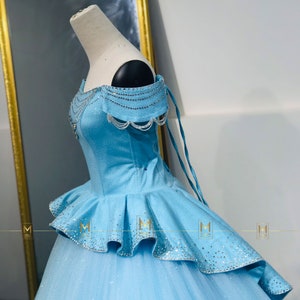 Brandy Cinderella Costume in Blue Verison - Cinderella Dress