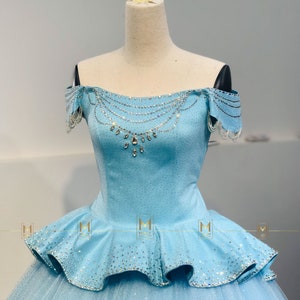 Brandy Cinderella Costume in Blue Verison - Cinderella Dress