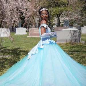 Brandy Cinderella Costume in Blue Verison - Cinderella Dress