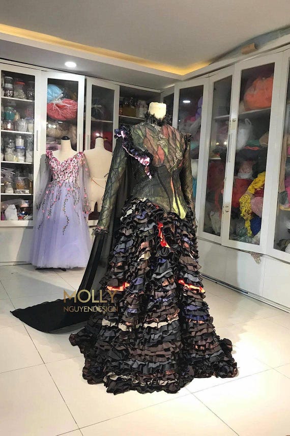 2 Payment Plans, Inspired Wicked Elphaba, Wicked Costume, Adult Costume