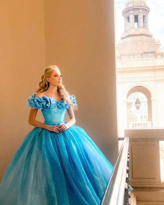 Buy Cinderella Dress, Disney Princess Inspired, Cinderella Adult Costume,  Blue Cinderella Dress, Online in India - Etsy