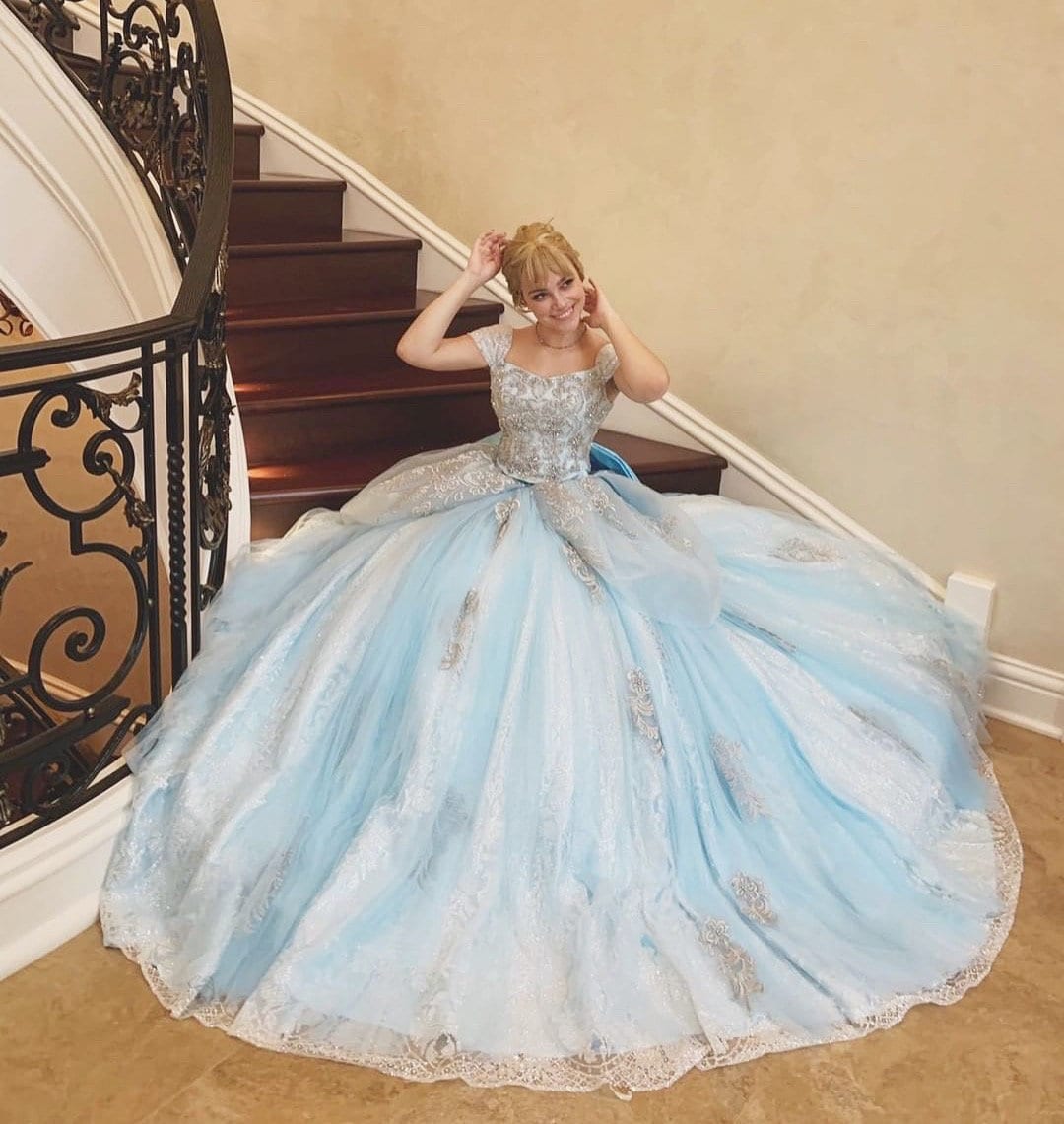 cinderella dress adult