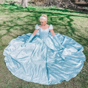 Cinderella Disney Park Inspired, Cinderella Adult Costume Cosplay DRess Ballgown, Cinderella Classic Costume image 9