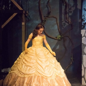 Belle Adult - Disney Princess - Belle ballgown - Belle Dress Inspired, Princess Dress Inspired